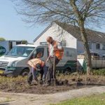 almere-groen-en-recreatie-Almere-onderhoud