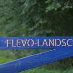 Grote kale plekken in bosgebied Pampushout wegens vijfjaarlijkse dunning