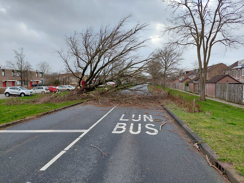 Veel overlast van omgewaaide bomen, afgewaaide daken. ( Video ) brandweer stad waterwijk 18-02-2022-1