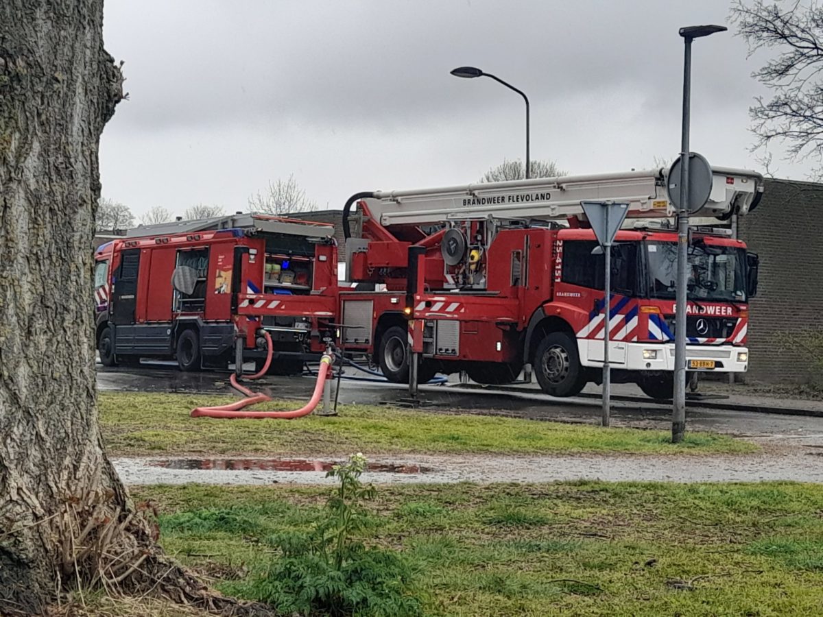 brand haven marken 31-03-2022-2