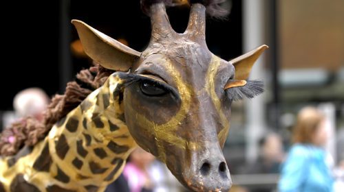 uitfestival haven giraf