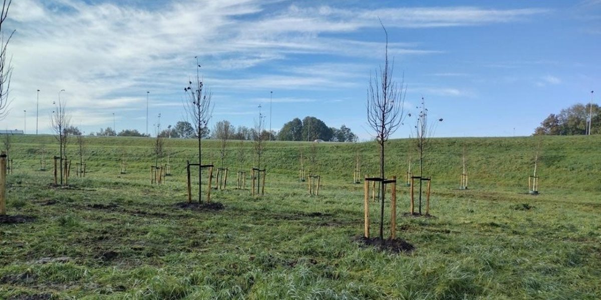Groene Buur Almere: maak de stadstuin groener