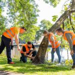 bomen opleiding