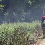 Pluisjes veroorzaken meerdere brandhaarden in bos achter nieuwbouwwijk Almere