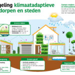 Subsidie groene daken