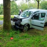 Kleine bestelbus botst tegen boom, Leeuwerikweg in Almere