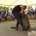 schaapscheerdersfeest