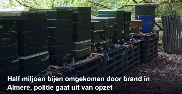 Crowdfundactie voor imker Beatrixpark. Half miljoen bijen slachtoffer brandstichting
