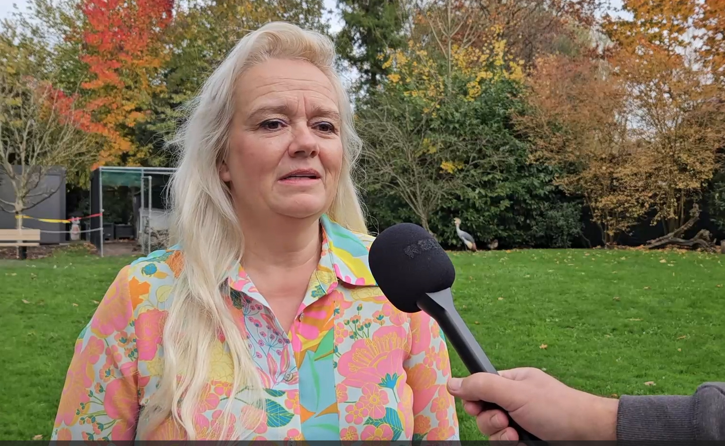 Video | Wat is er aan de hand met het dierenasiel?