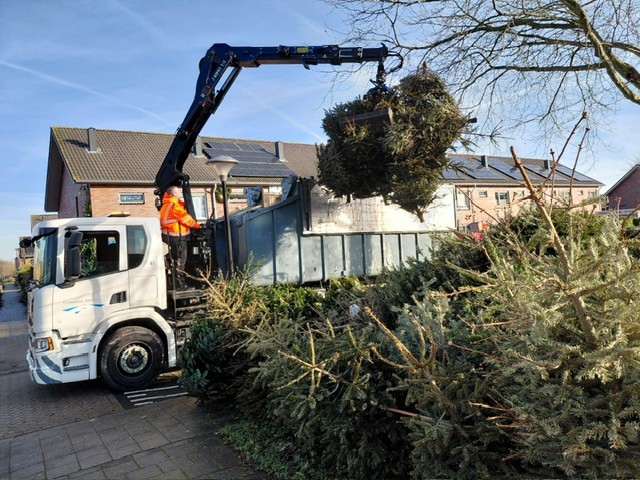 Bijna 6000 kerstbomen ingezameld