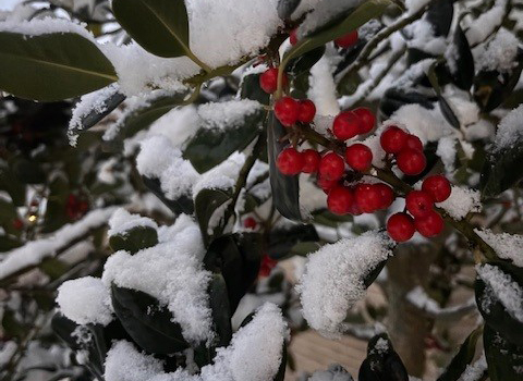Zet Almere op de (sneeuw)kiek: laat iedereen meegenieten
