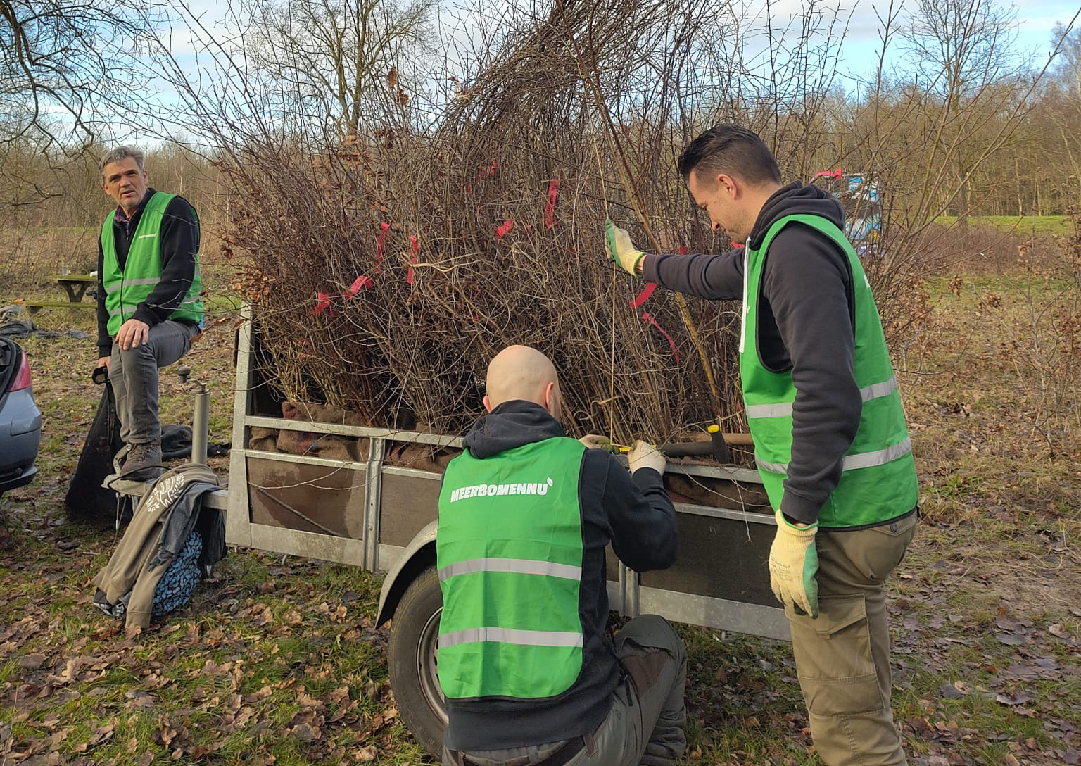 Help ‘Meer Bomen Nu Flevoland’ met het redden van jonge bomen en struiken