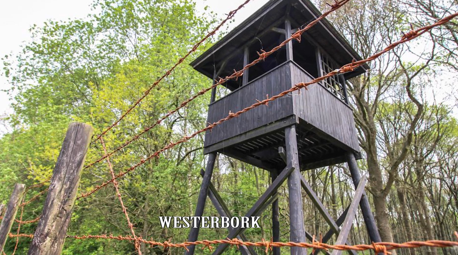 Video | Terug naar Westerbork
